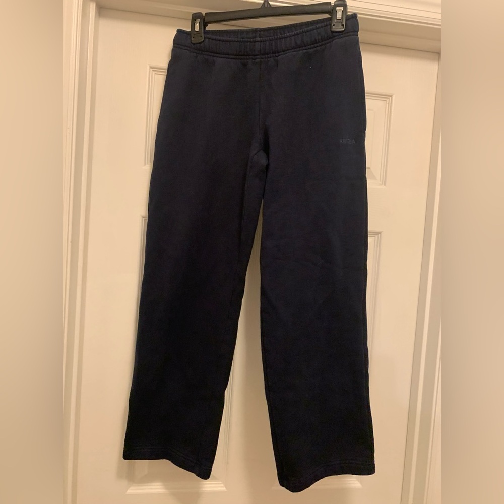 Aritzia sweatfleece cozy fleece mega fit sweatpants